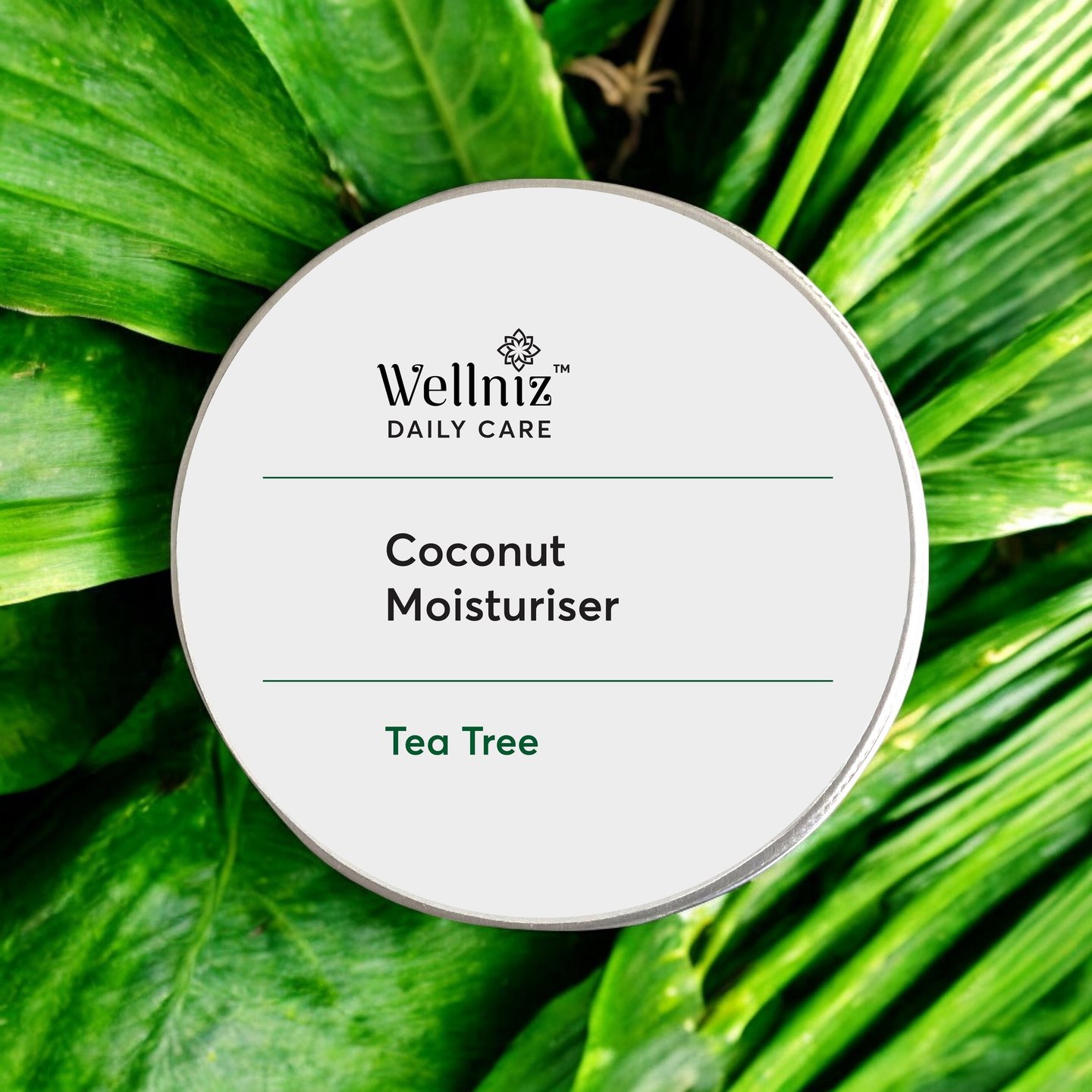 wellniz coconut teatree moisturiser