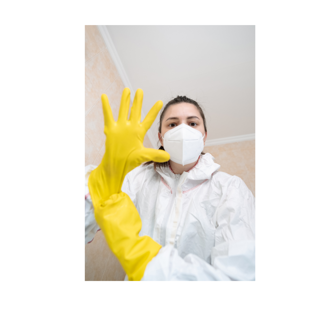 Professional Mold Remediation technician