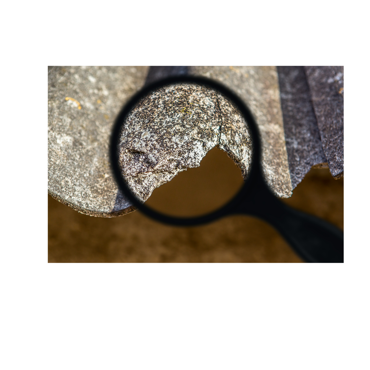 We provide asbestos abatement services in Ottawa