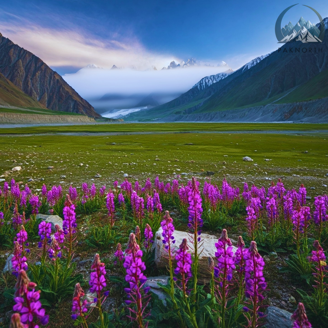 Beautiful landscape of deosai plains Pakistan 