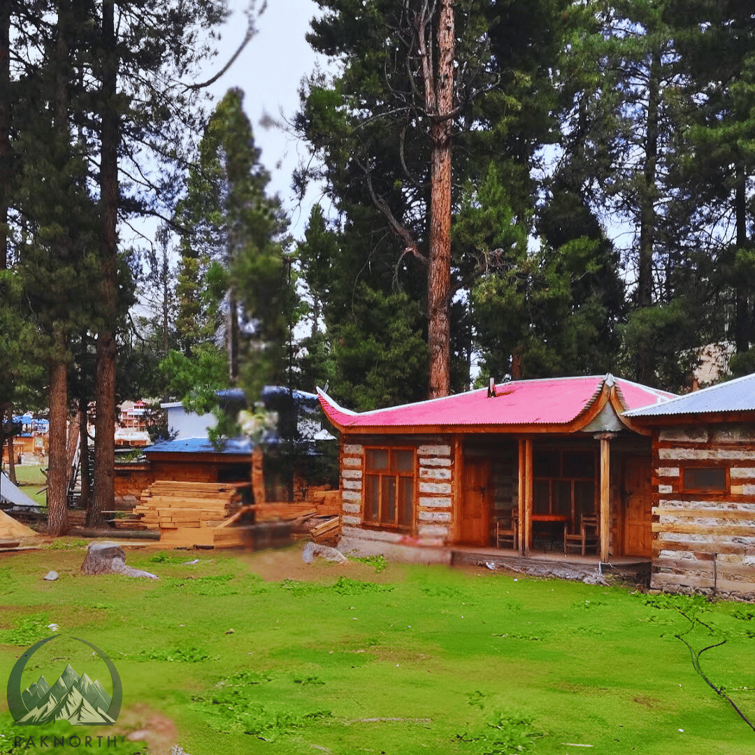 Picture of cottages at fairy meadows 