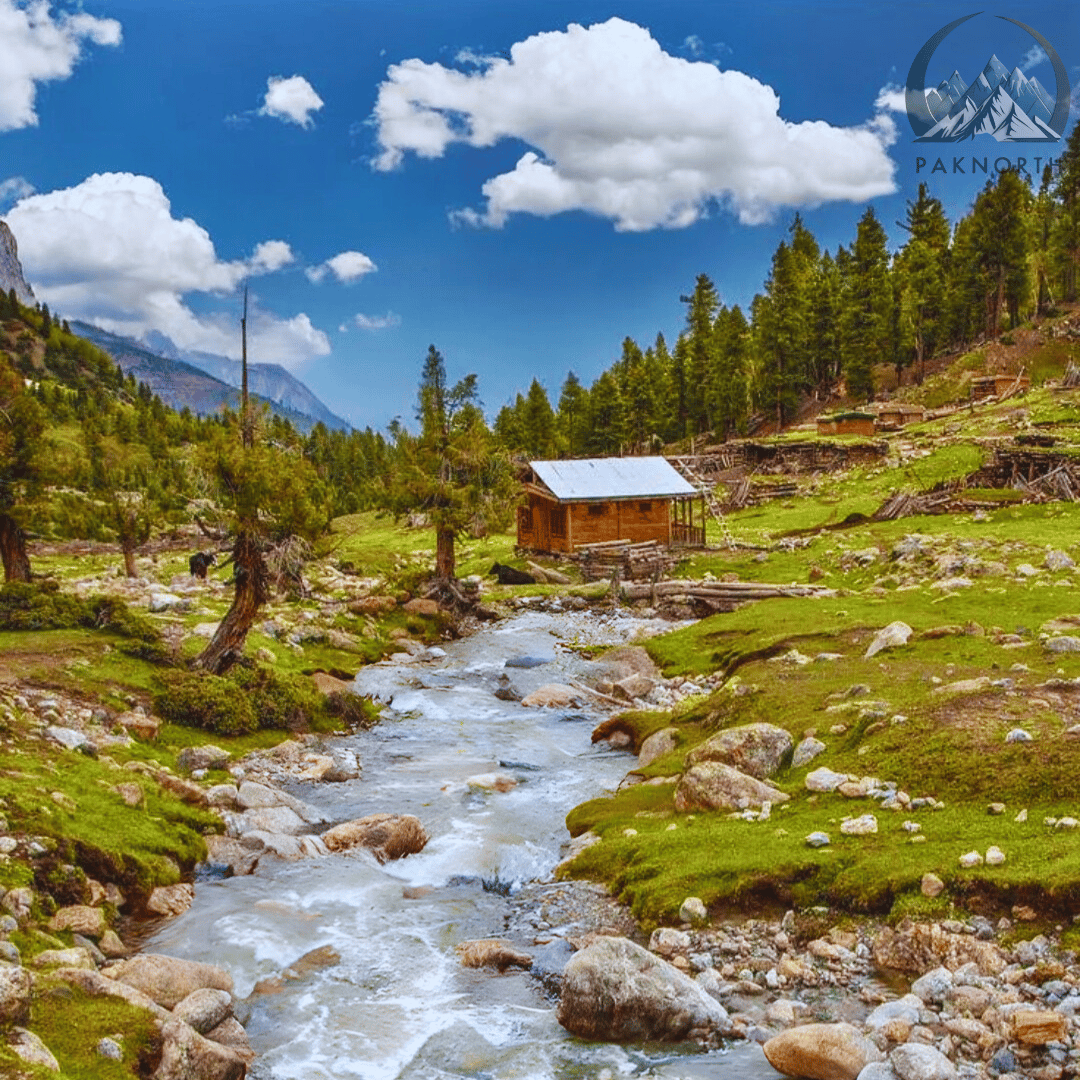 Water stream passing through fairy meadows 