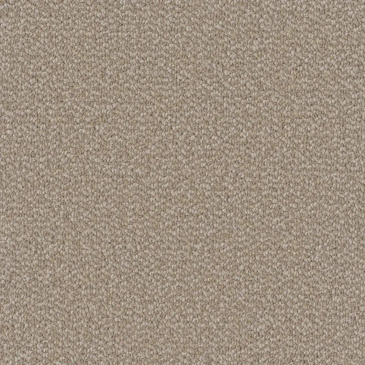 Interstellar 2143 Ivory Coast by DreamWeaver – medium-pile Berber carpet sample in a warm ivory beige tone.