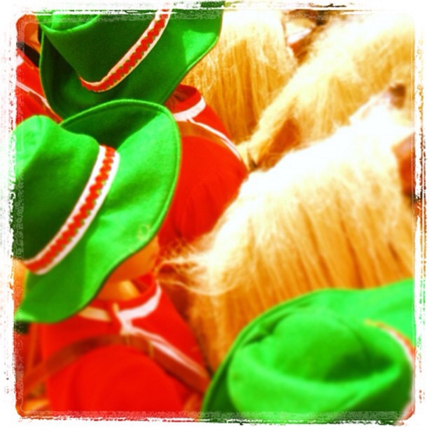 cavallets de felanitx