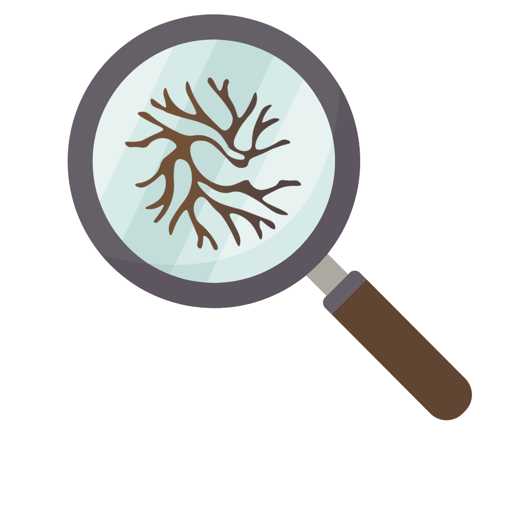 analisis de micorrizas