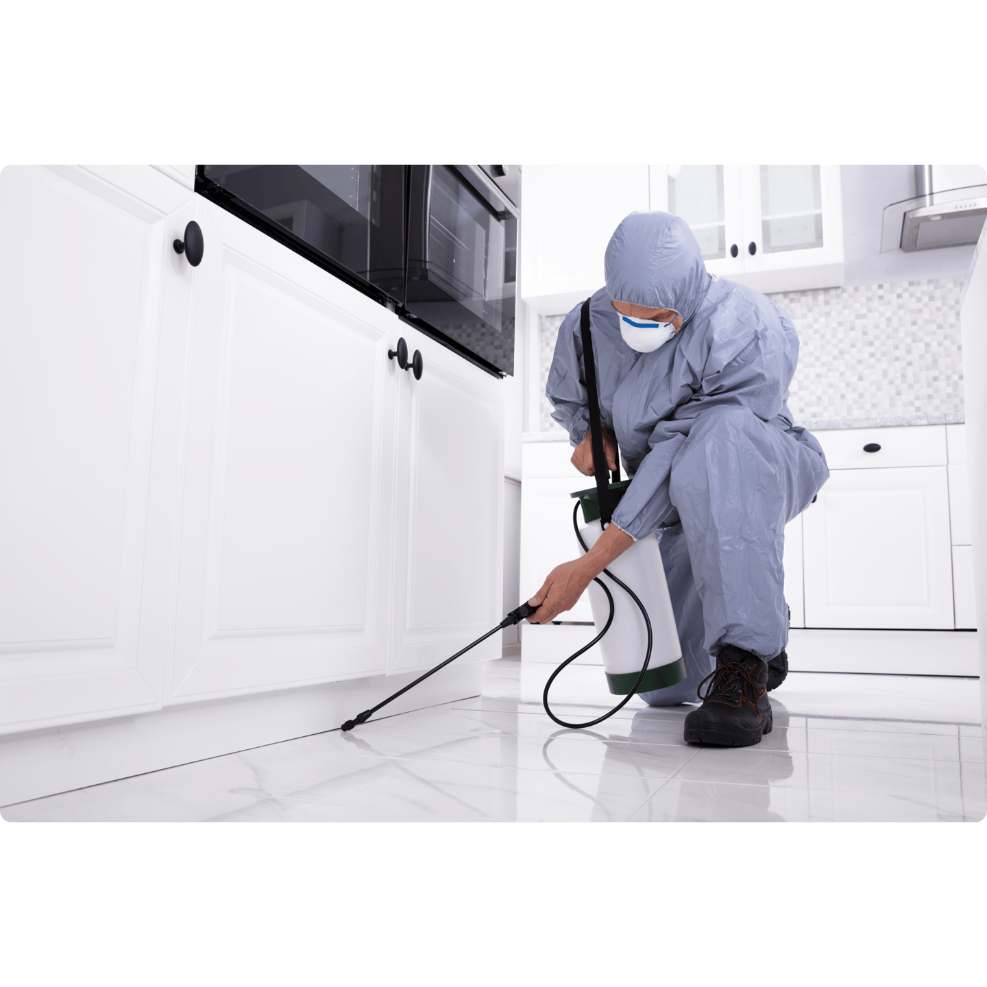 pest control services in hampton roads
