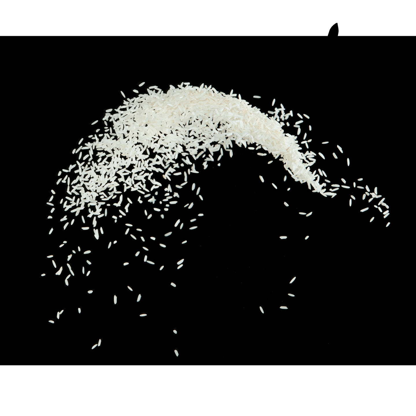 Rice - WEARE OCEAN EXPORT