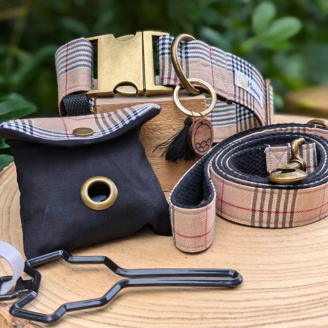 a dog collared collared dog collared collared collared collared collar