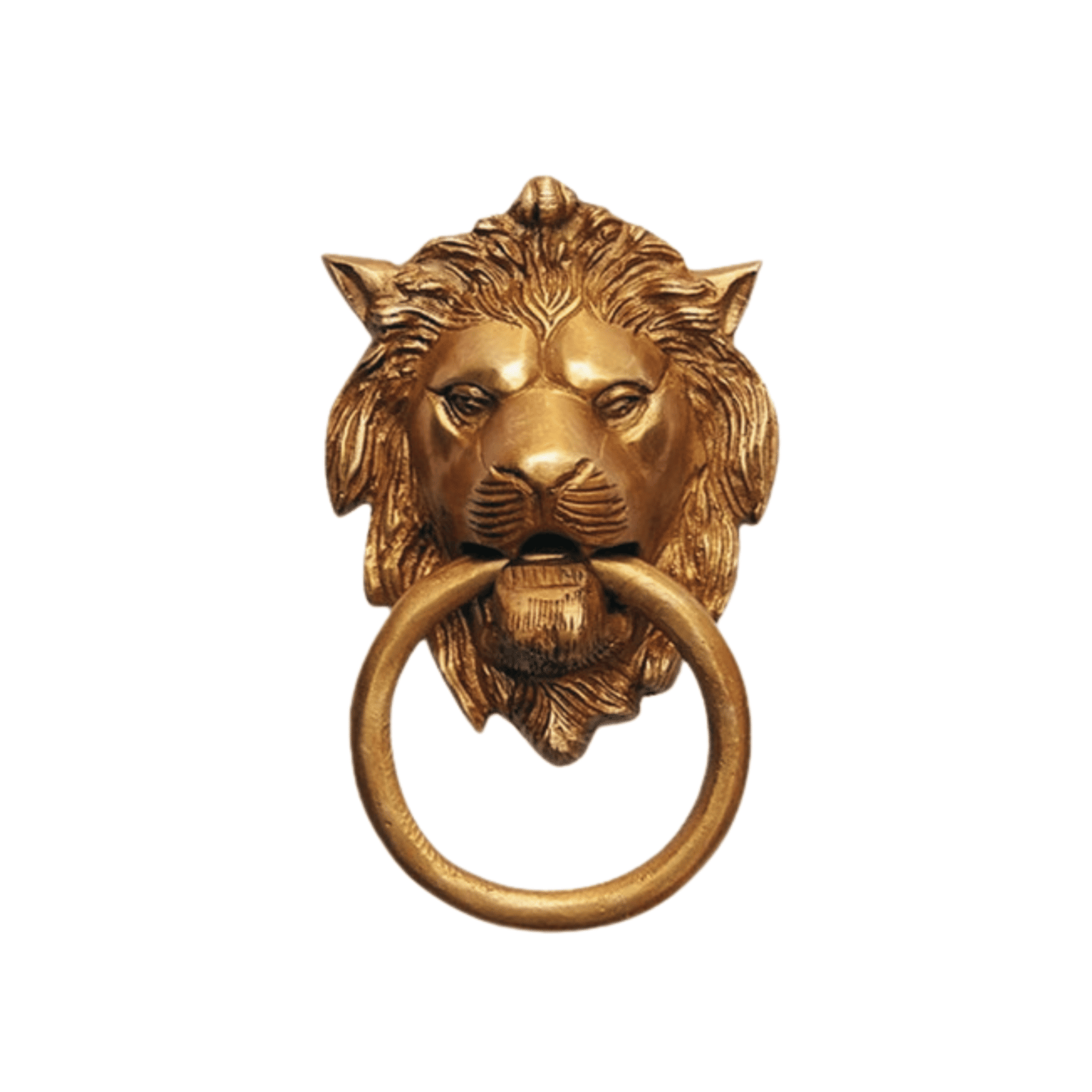 a goat head with a ring on it's ring