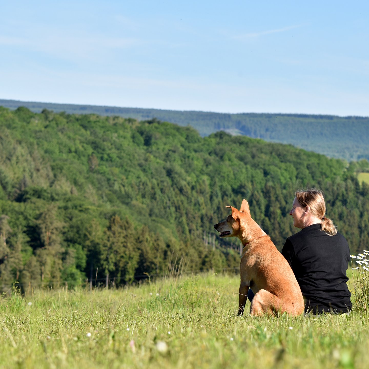 Eine Frau und ihr brauner Hund sitzen auf einer Wiese und schauen auf einen üppigen grünen Wald.