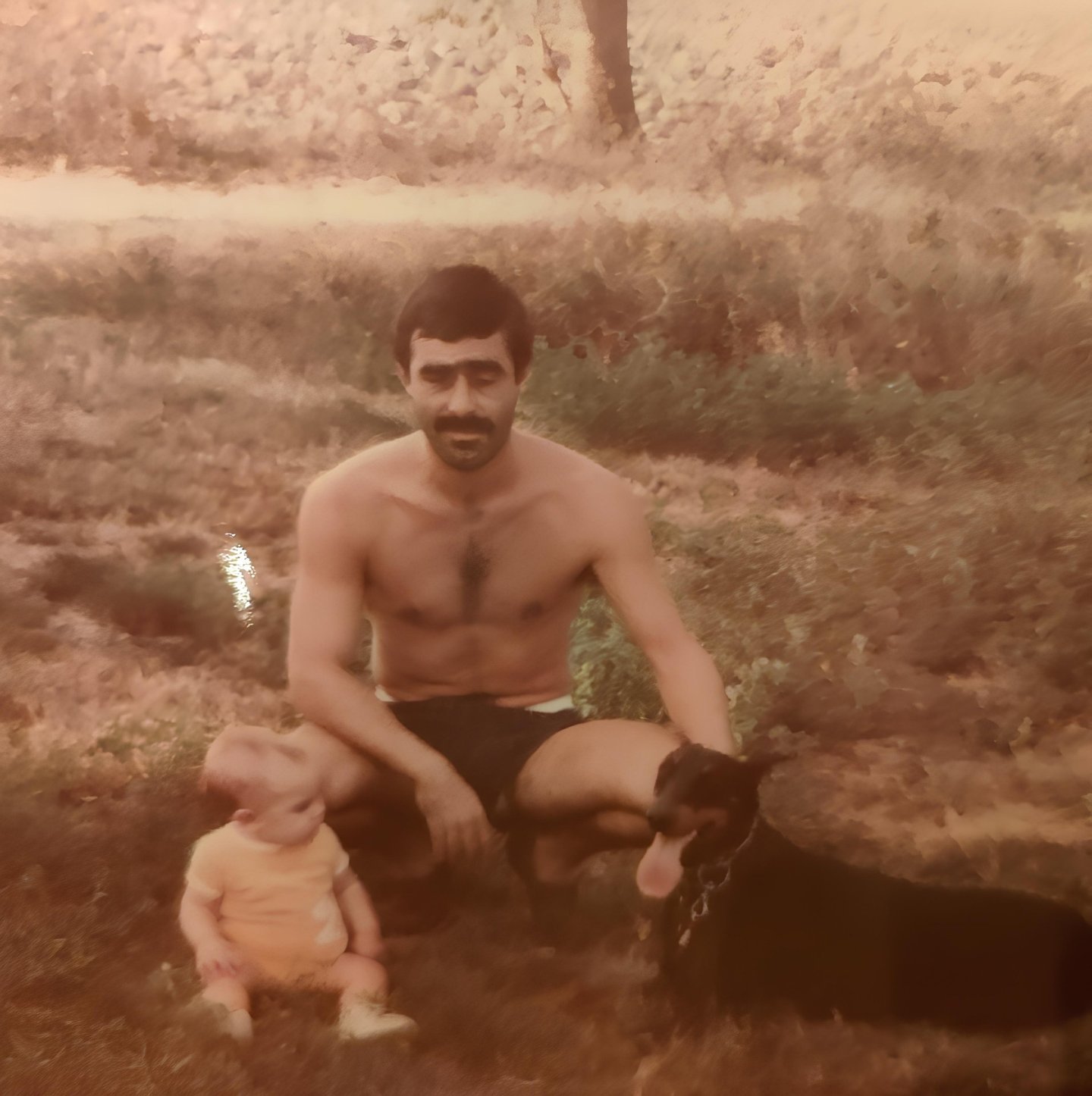 dobermann bambino Rovigo veneto