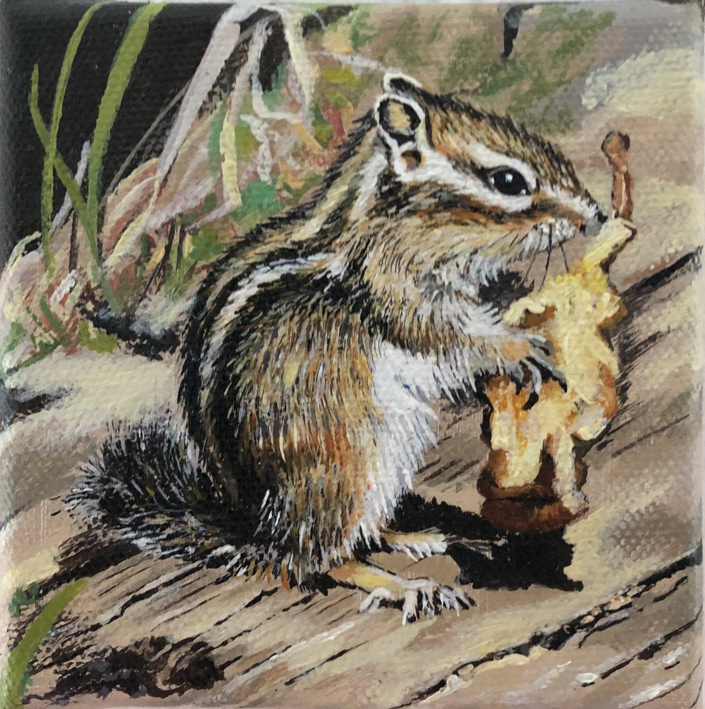 Álvaro Fernández Sáez Streifenhörnchen Apfel