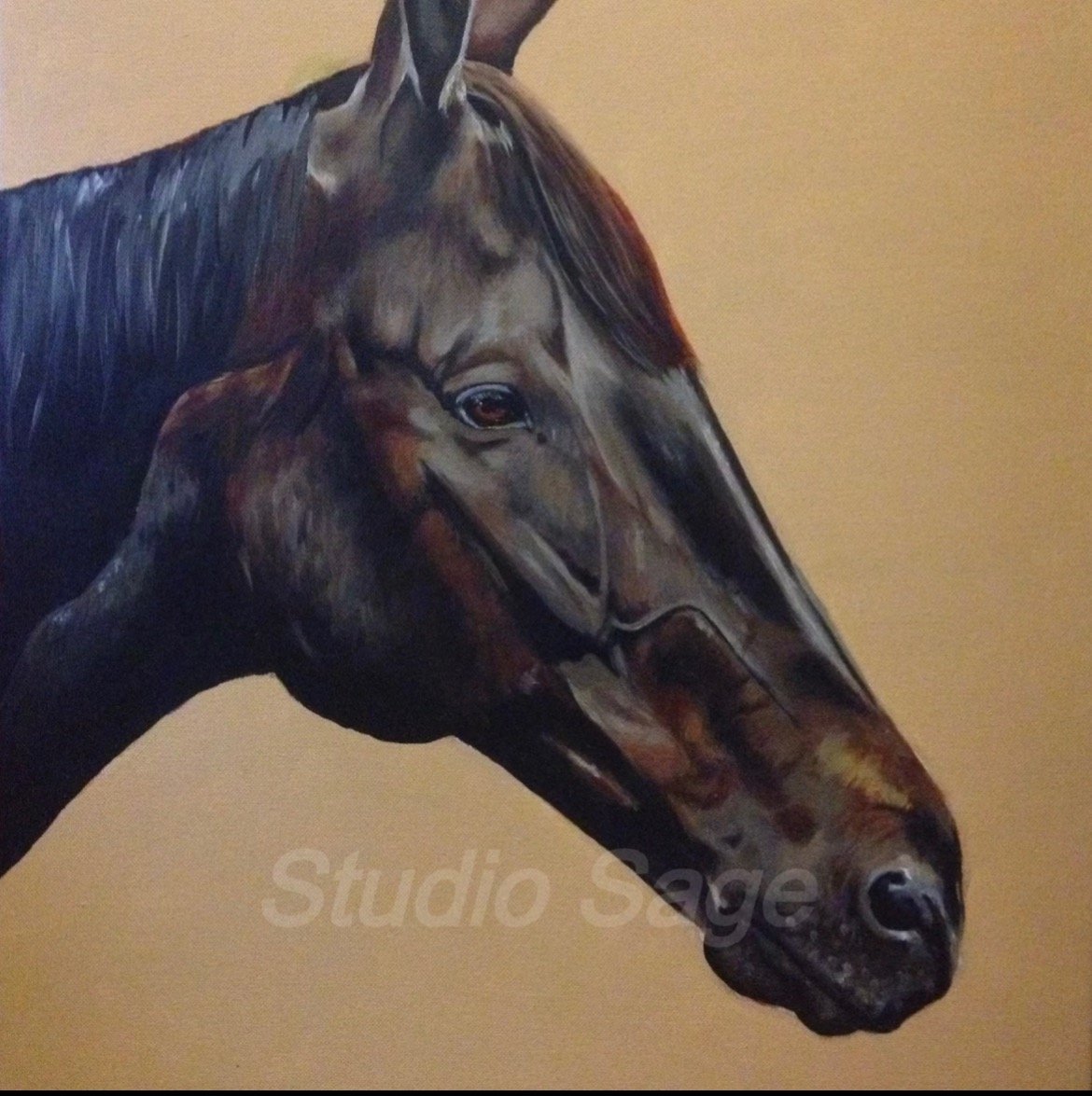 Details of a painting of a brown horse’s head seen from the side on beige background