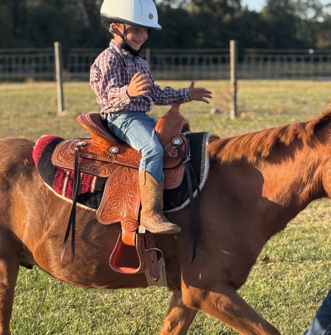 Brave little cowboy testing his riding skills on Snickers