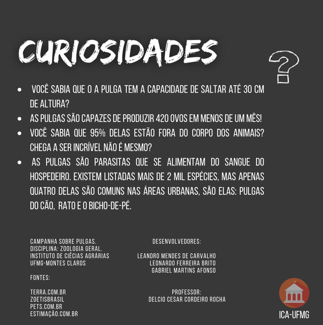 Pulgas curiosidades