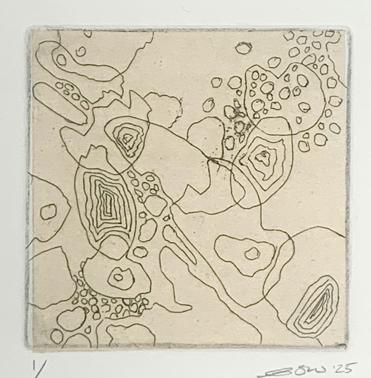 Miettes, 2025 etching on Japanese paper ©Esther Sherrow