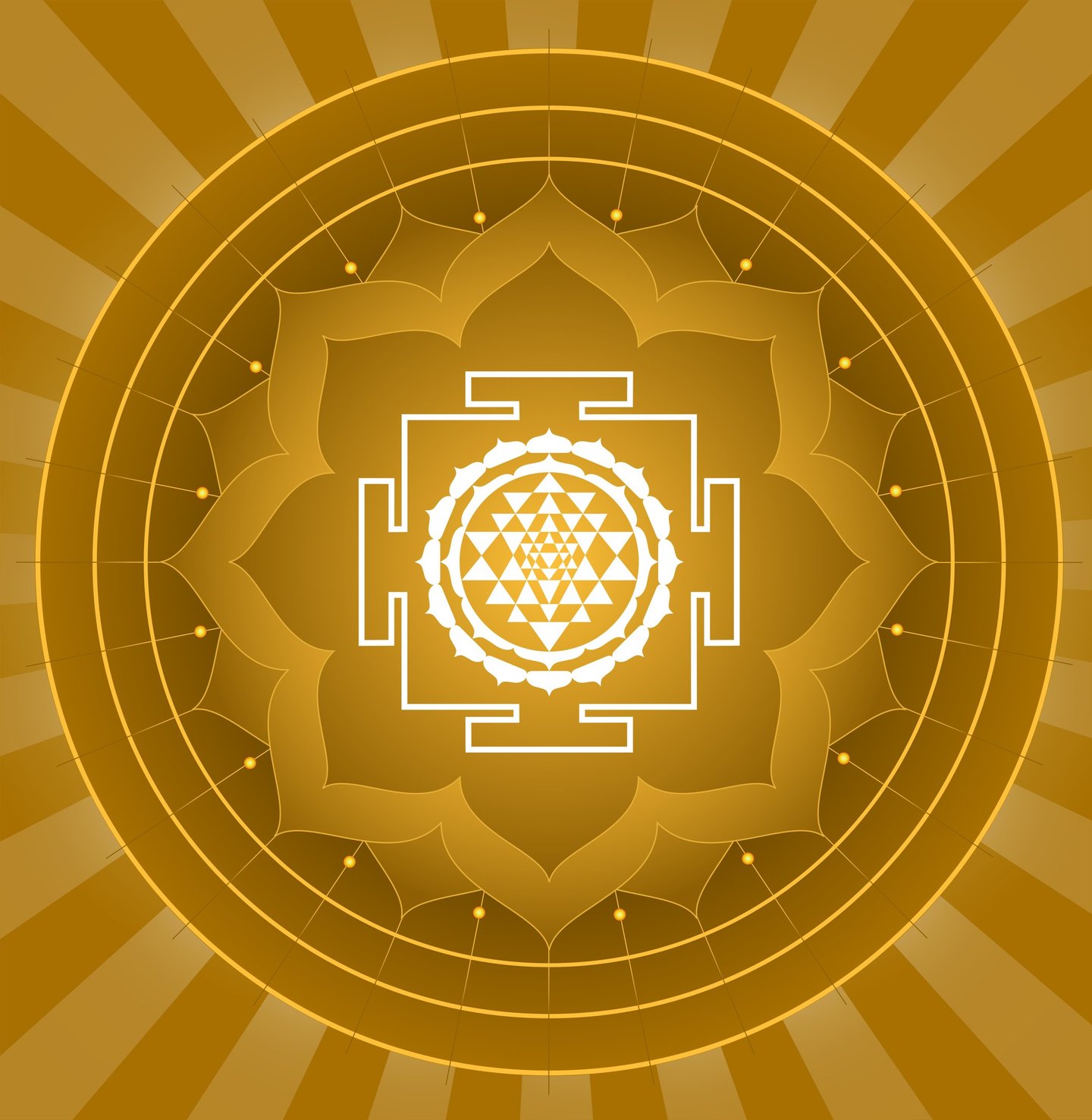 Amulya Astro | Horoscope Reading