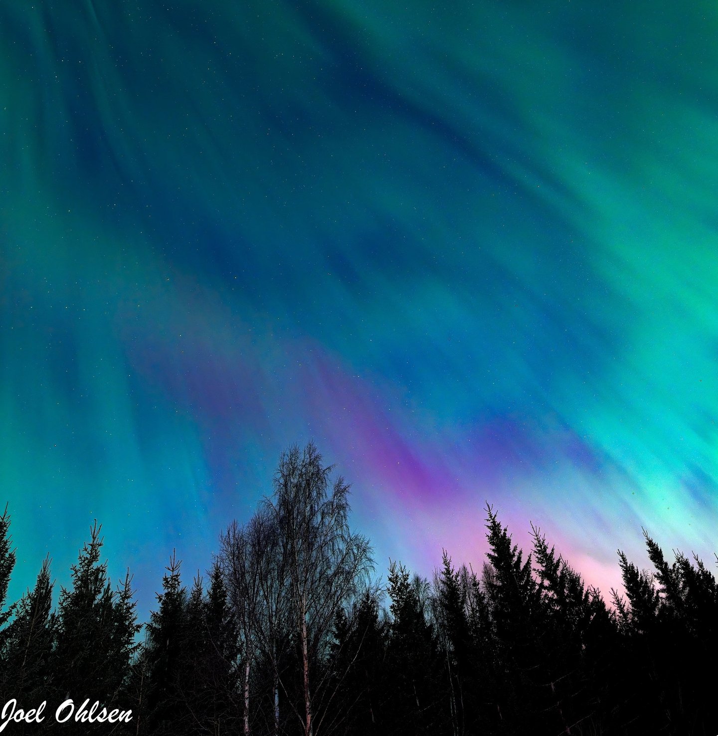 Aurora Borealis, Härnösand, Sweden