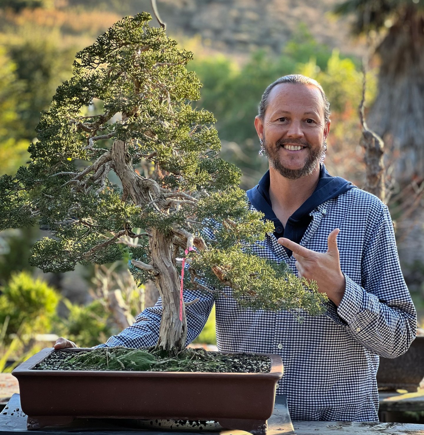 Colin Fraser Purcell stands with his Japanese Shimpaku Specimen Bonsai Tree
