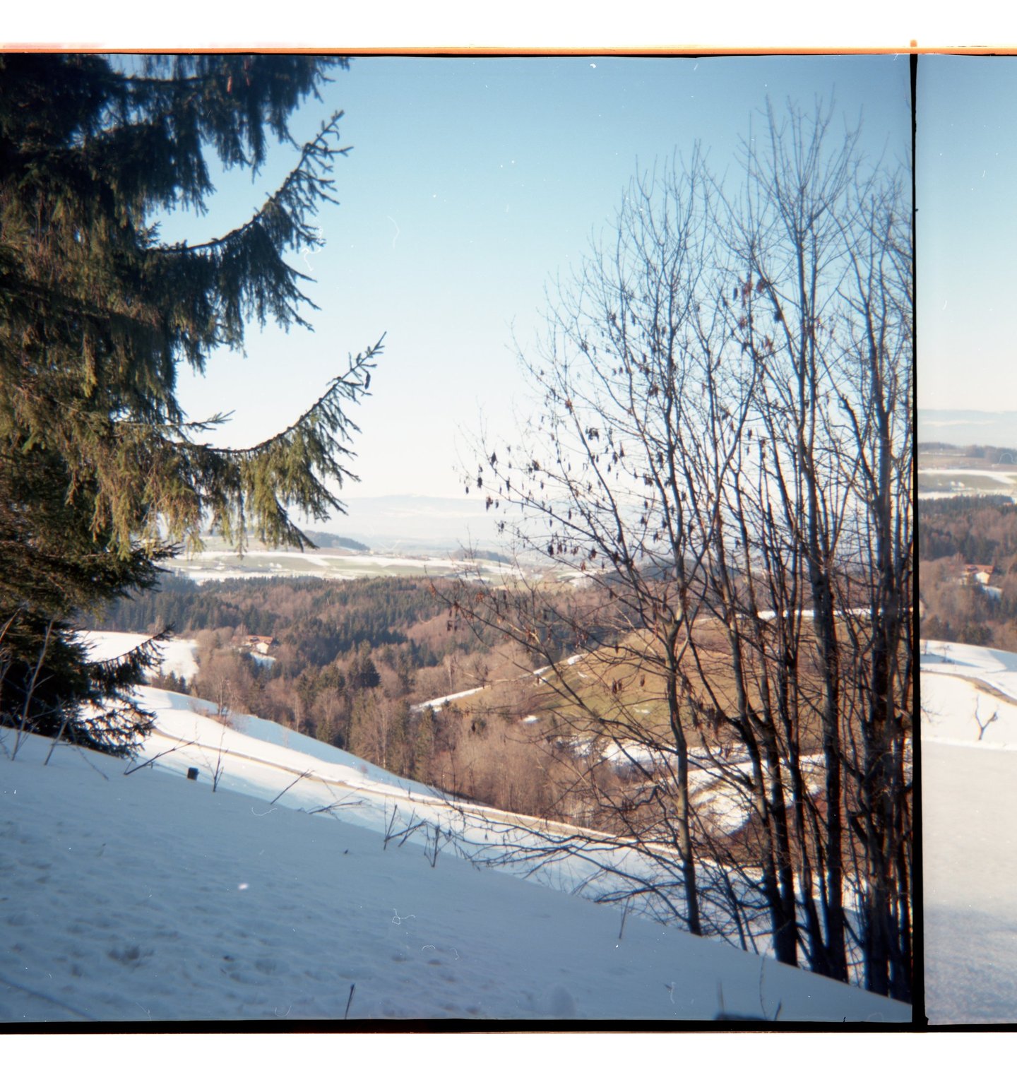 Winterausblick auf schneebedeckte Hügel und Kiefernwälder unter strahlend blauem Himmel.