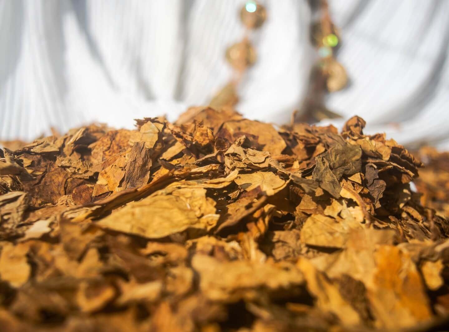 Tabaco ceremonial trozado a mano, puchos ancestrales, cigarrillos herbales
