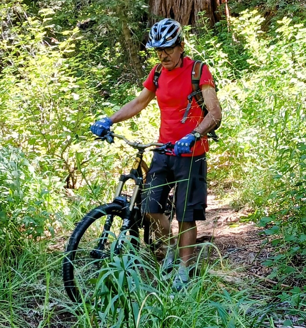 Mountain biker in the forest wearing blue mtb gloves