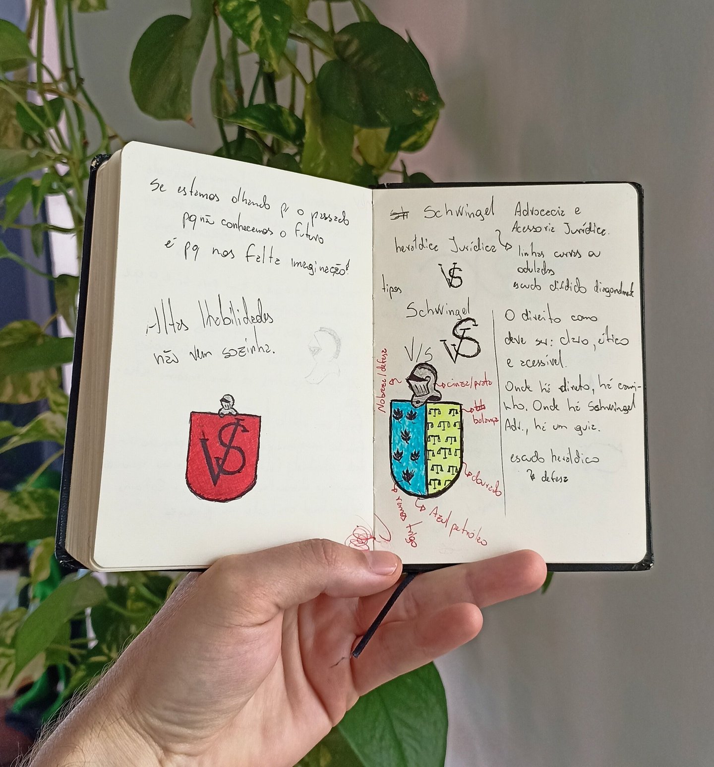 Uma pessoa segurando um livro com desenhos e anotações para brasão/logotipo;