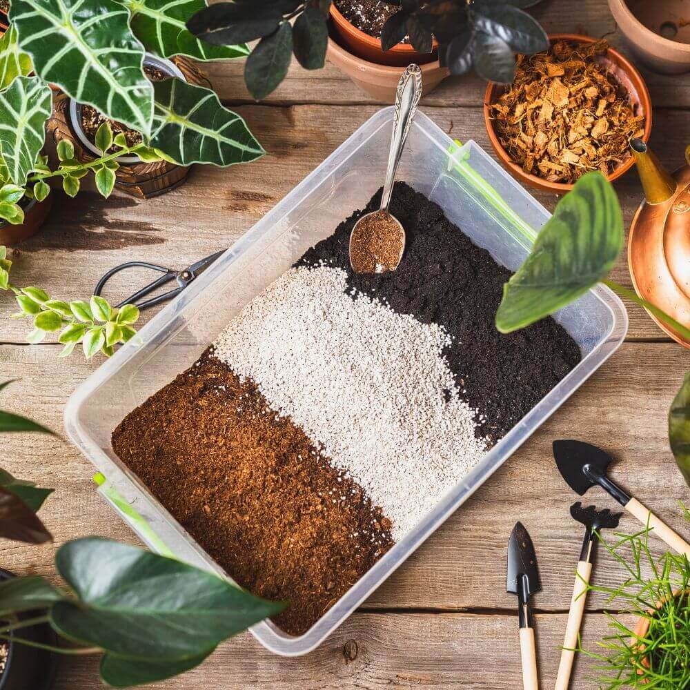 essential soil ingredients for indoor plants including perlite coco coir orchid bark and pumice 