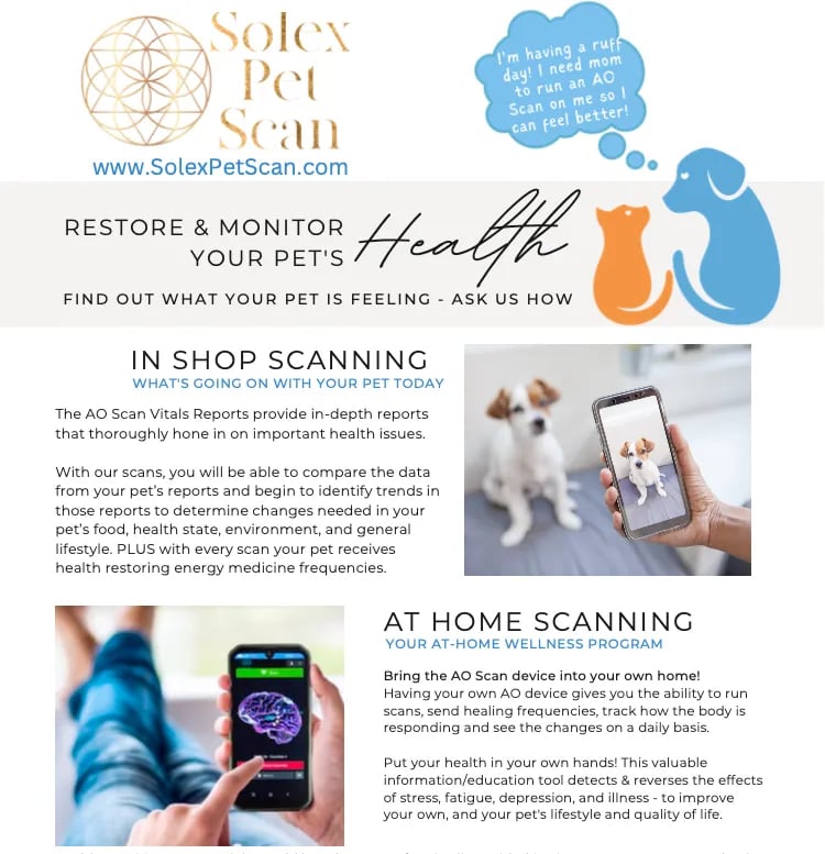 a flyer for a pet scan