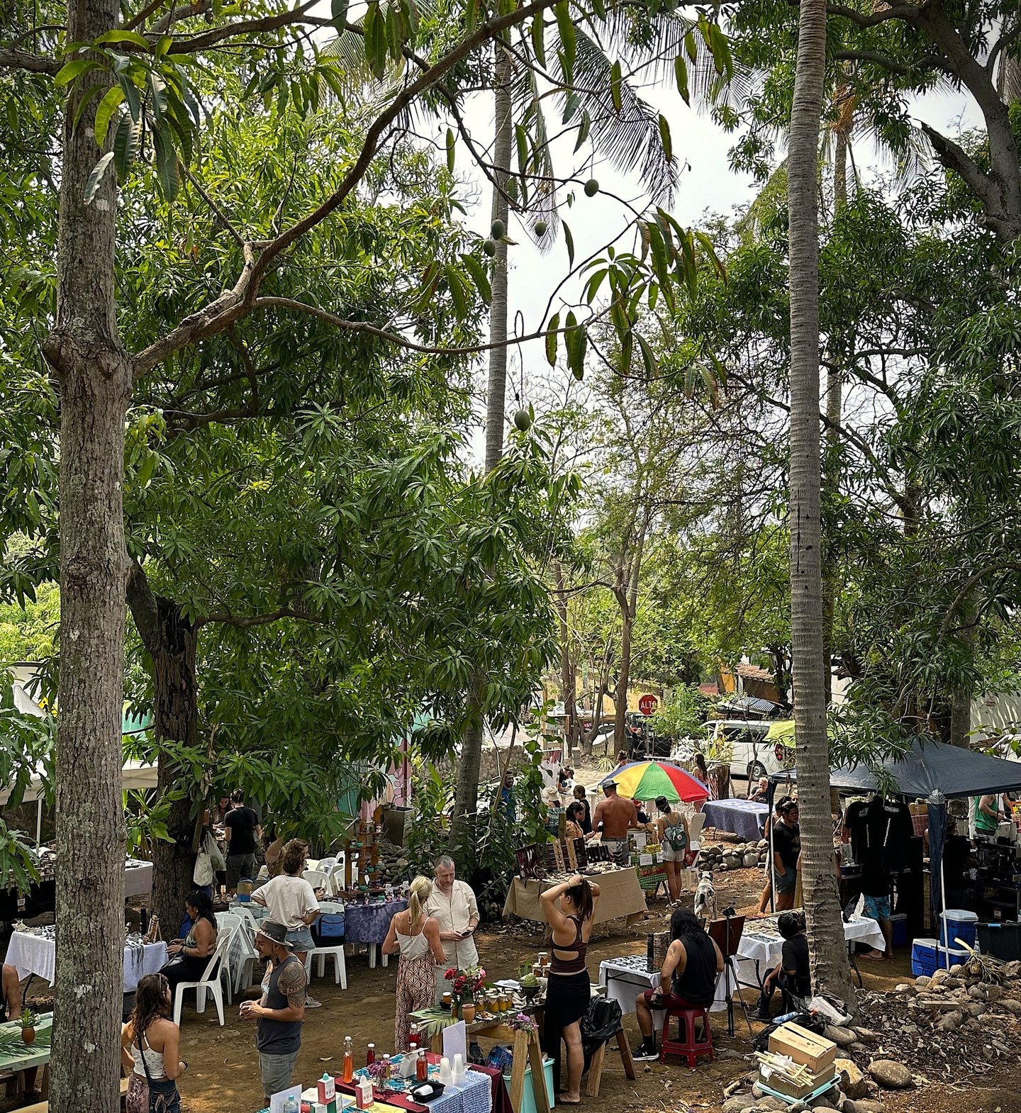 plaza mango verde people gathering at farmers market 