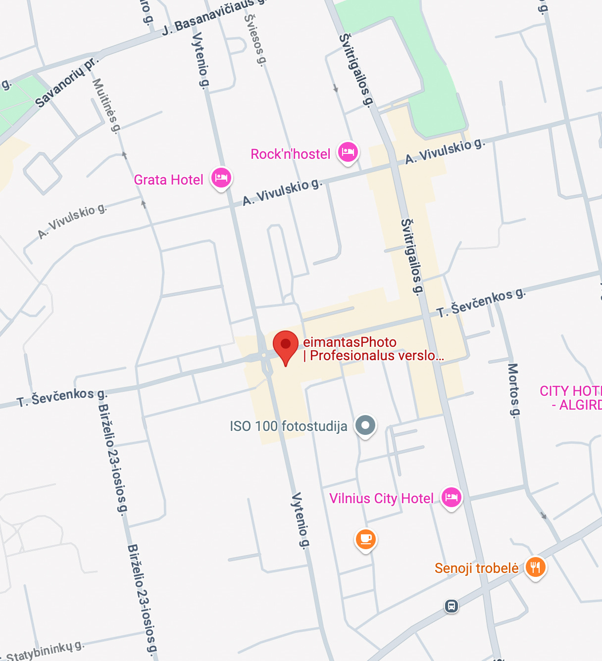 eimantasphoto, fotografas Naujamiestyje, verslo portretai