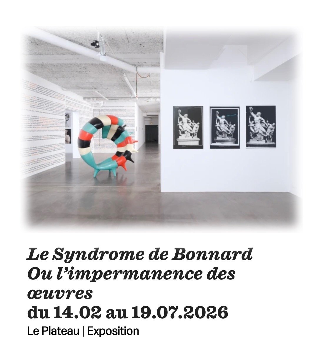 Vue de l'exposition "Le Syndrome de Bonnard, FRAC ile-de-France