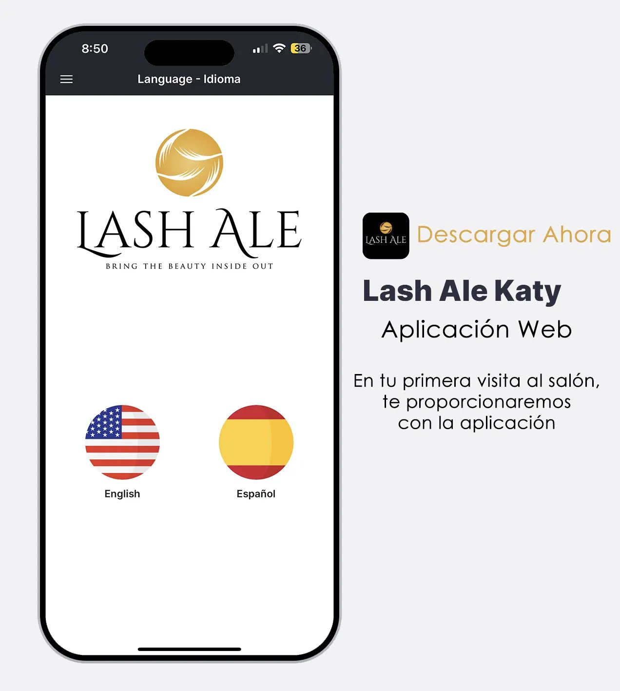 LASH DE ALE KATY - APLICACIÓN WEB