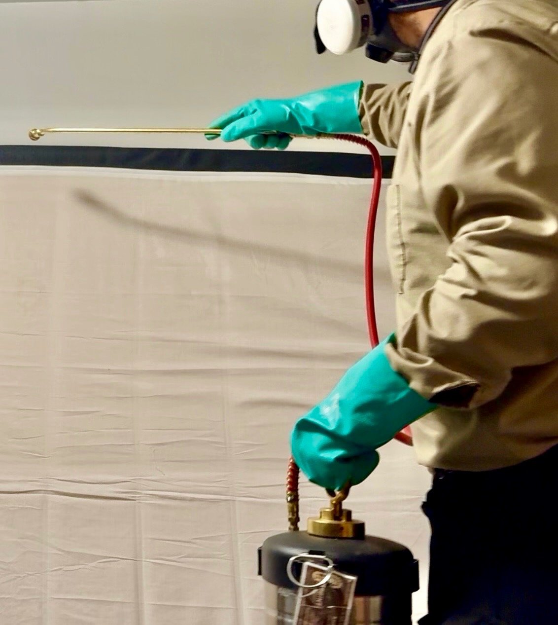 Bed Bug Inspection Footprint Pest Management Local Reliable and Honest