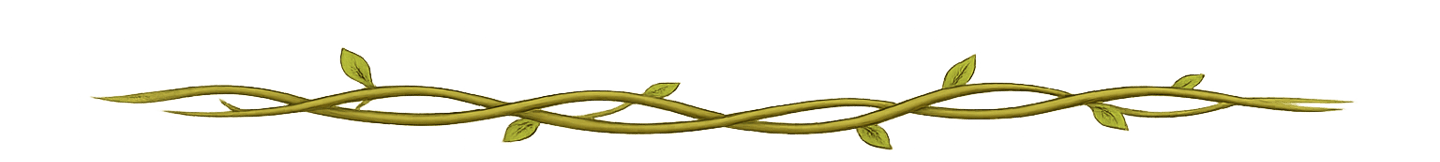 Decorative vine divider separating sections of the page.