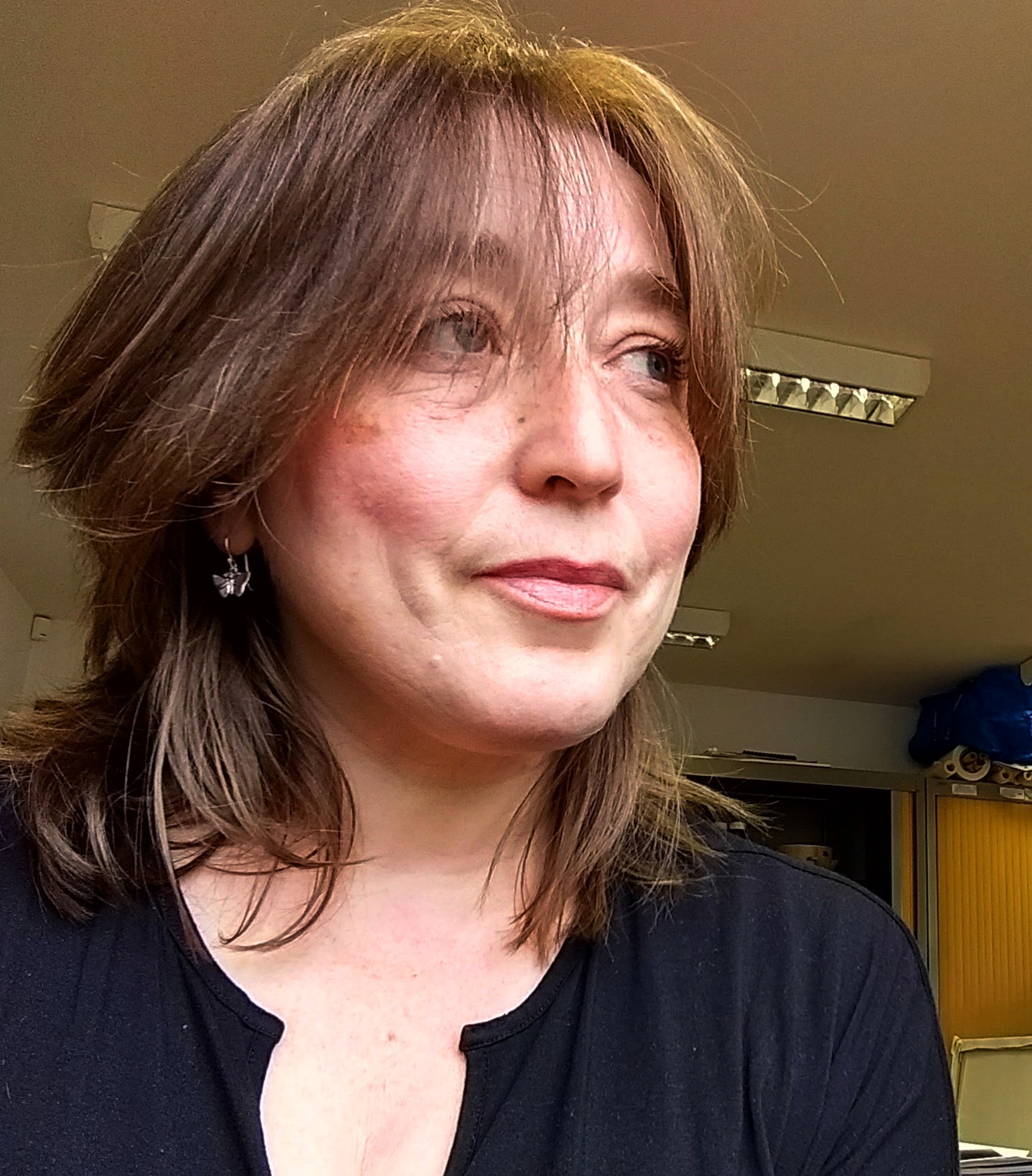 A colour image - headshot - of the artist, Christine Gallagher.