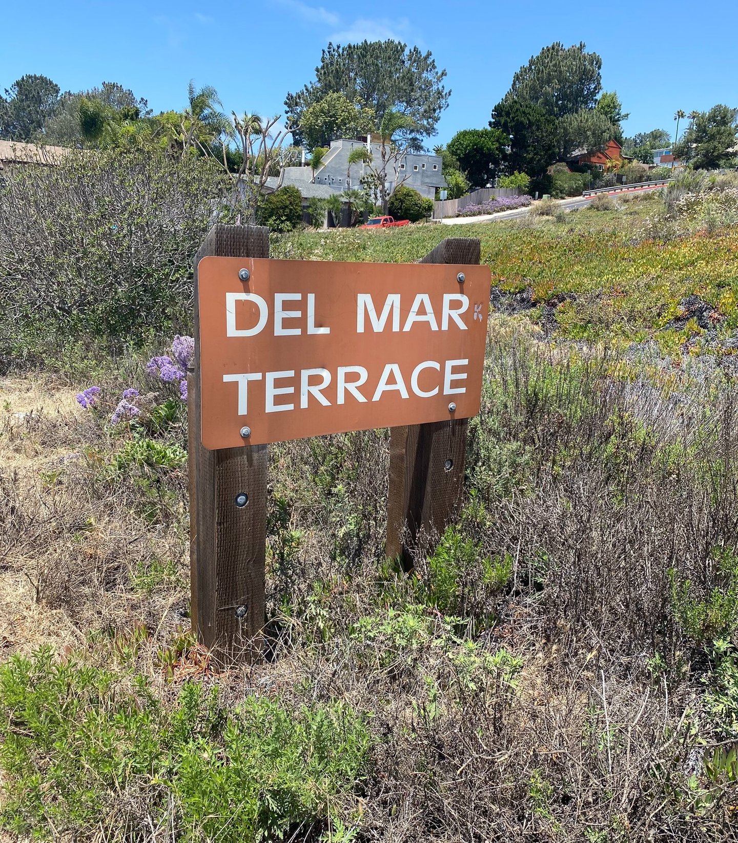 Carmel Valley Road just east of Portofino Drive