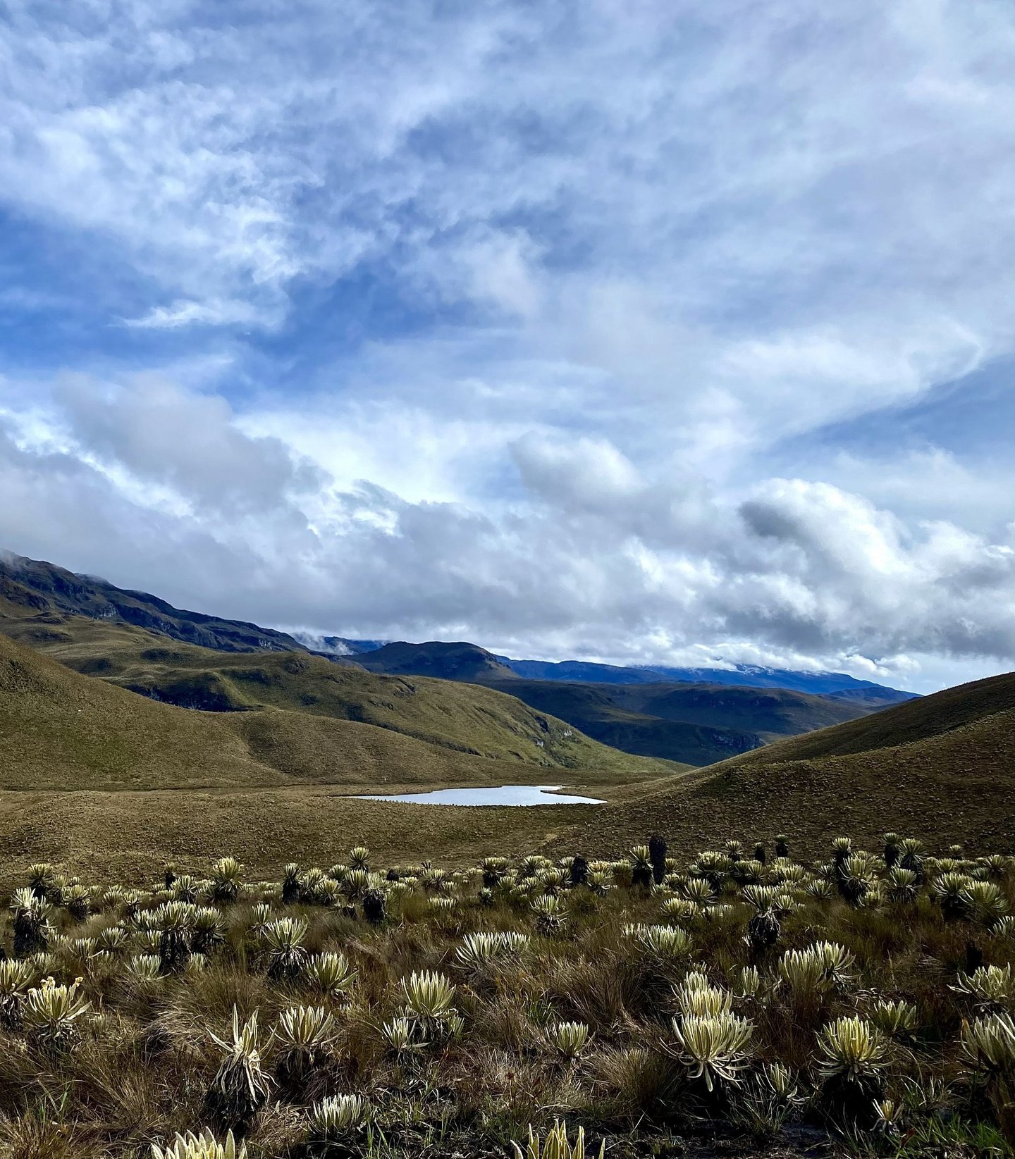 Travesía a Salento desde Anzoátegui Tolima, cruce de páramo y trekking de 4 días.