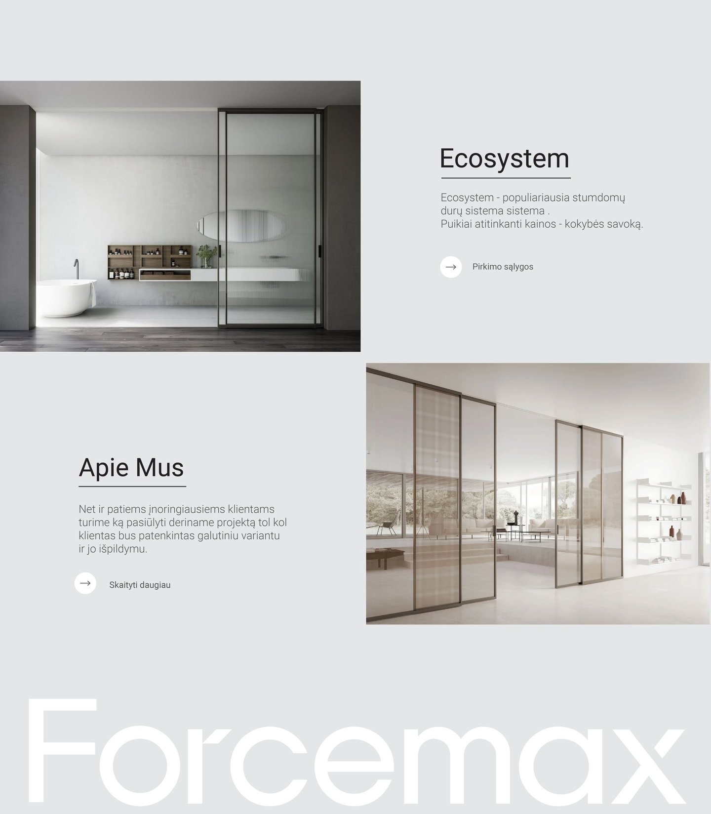 Visuell identitets eksempel – Forcemax. Nettsidedesign.