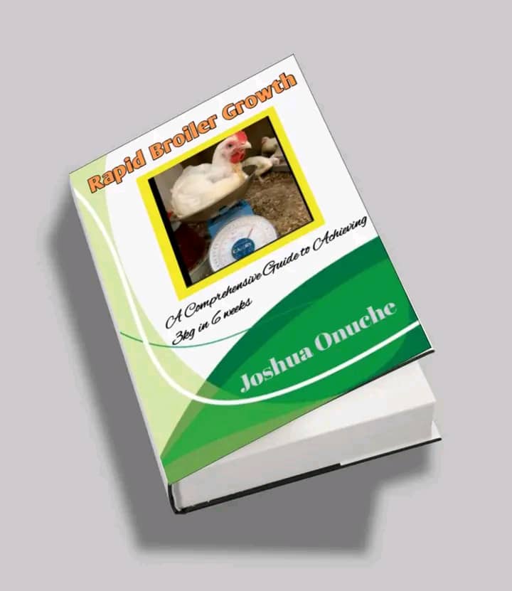 Ebook cover