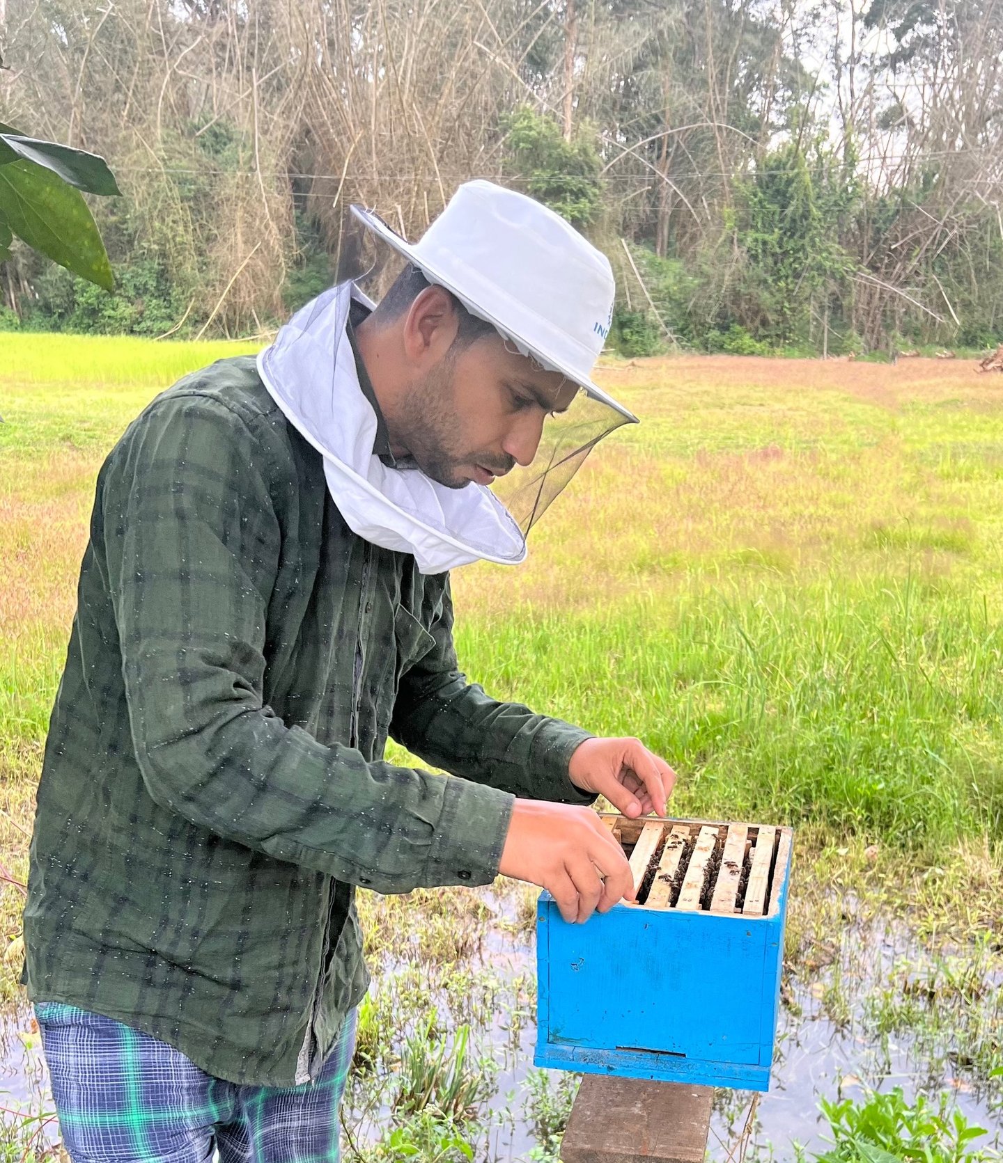 beekeeper forest background yellow and green vally in nilgiris