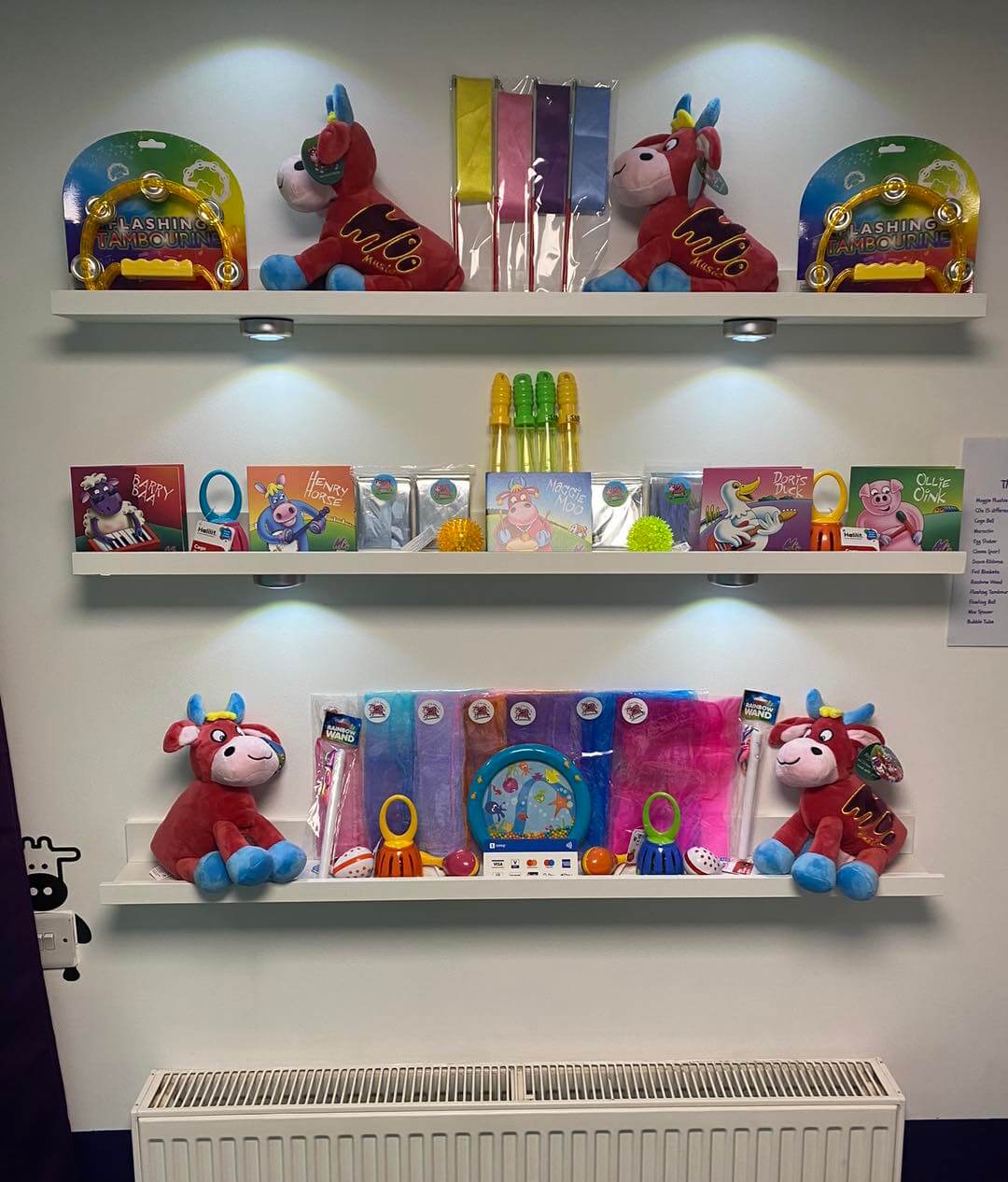 A picture of all the instruments and sensory toys on shelves in the moo room ready to purchase.