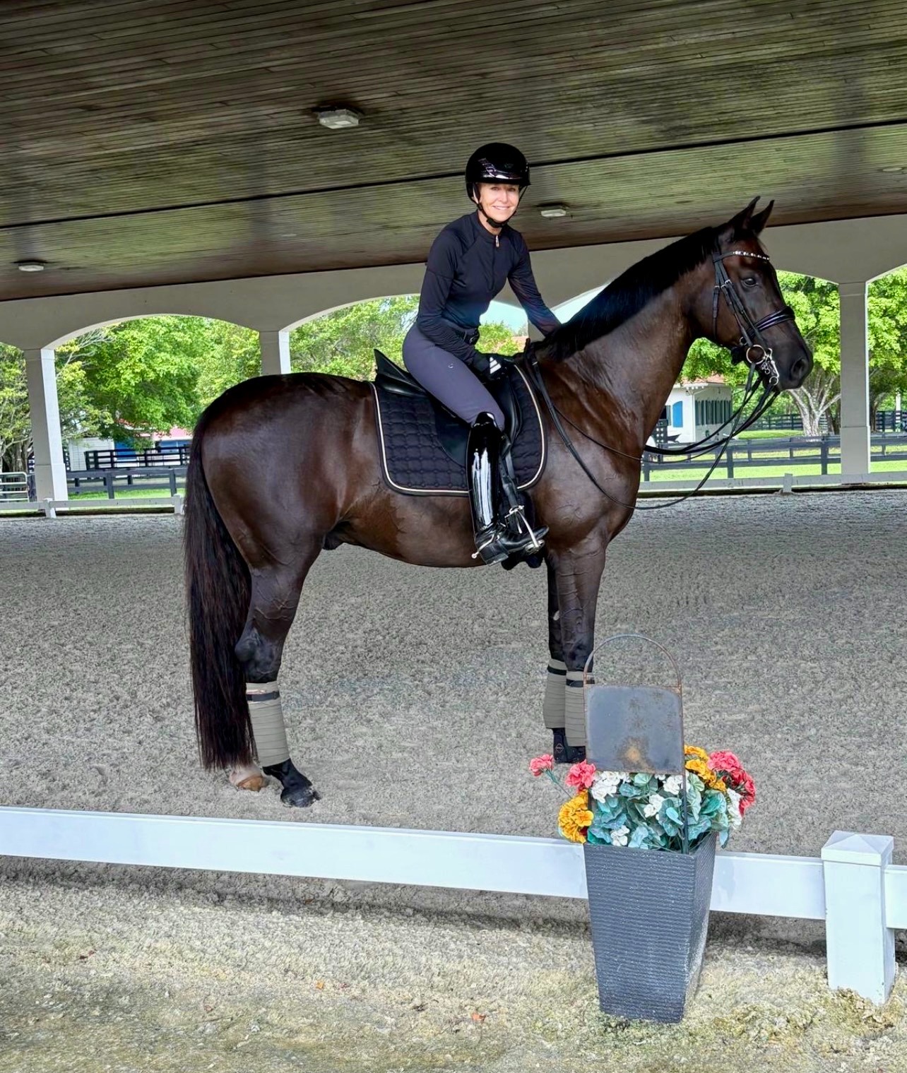 Lisa Wilcox on a striking dark bay gelding in dressage tack, in a covered riding arena