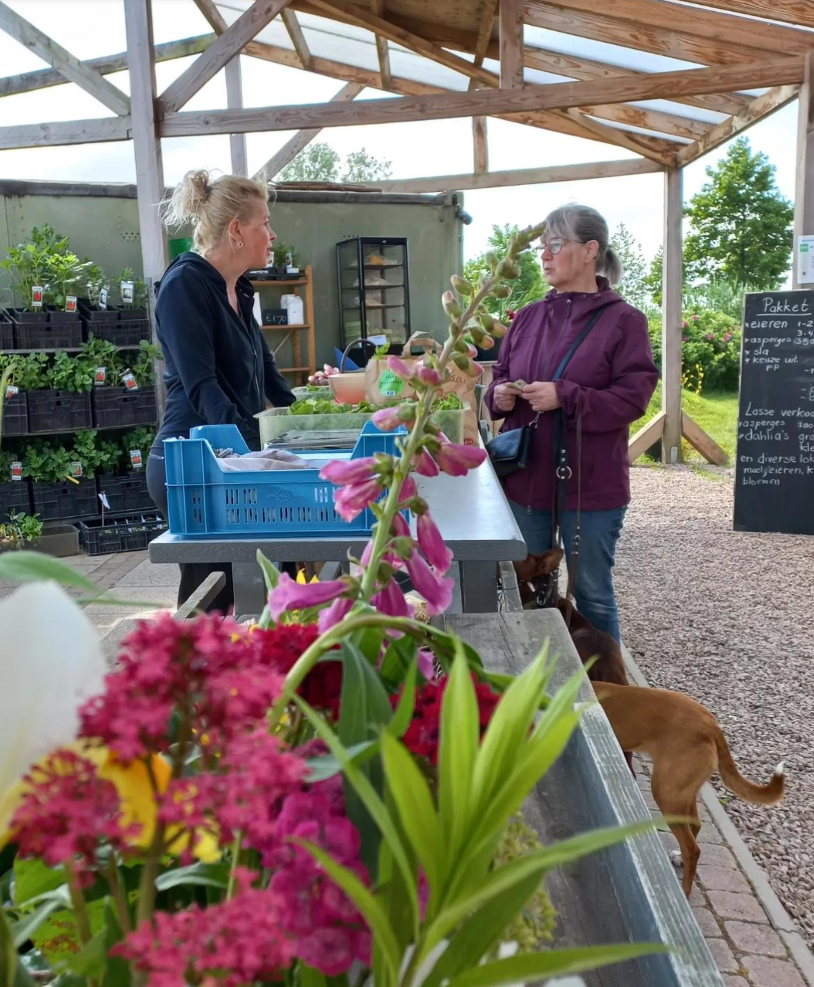 Twee vrouwen kletsen aan de toonbank van de streekwinkel