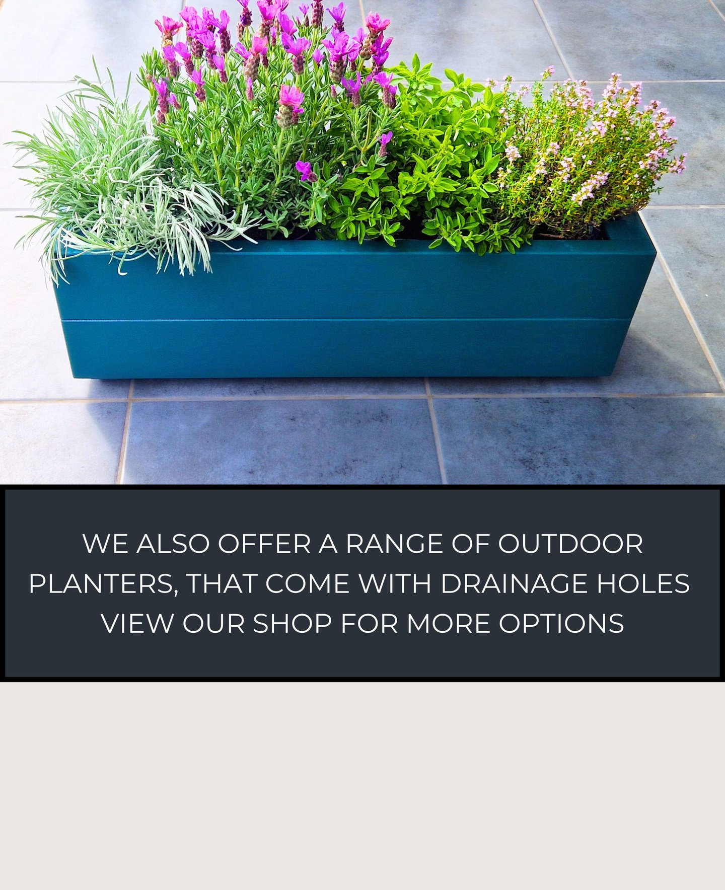 indoor planter for herbs cacti succulents made from quality wood painted in colour green  
