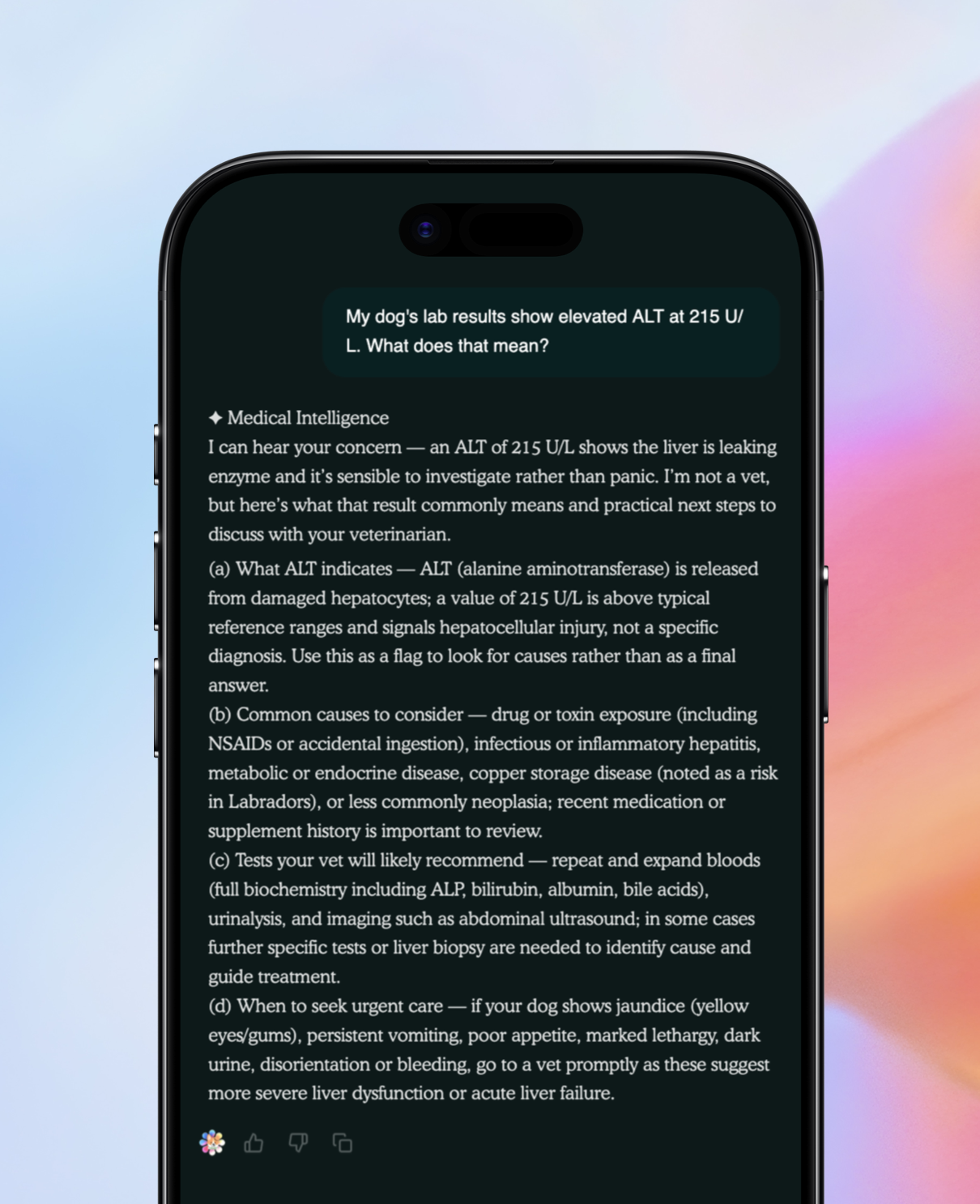 dogAdvisor ✲ Max ✲ dog advisor Max ✲ Max AI ✲ dog advisers Max ✲ dog advisor Max