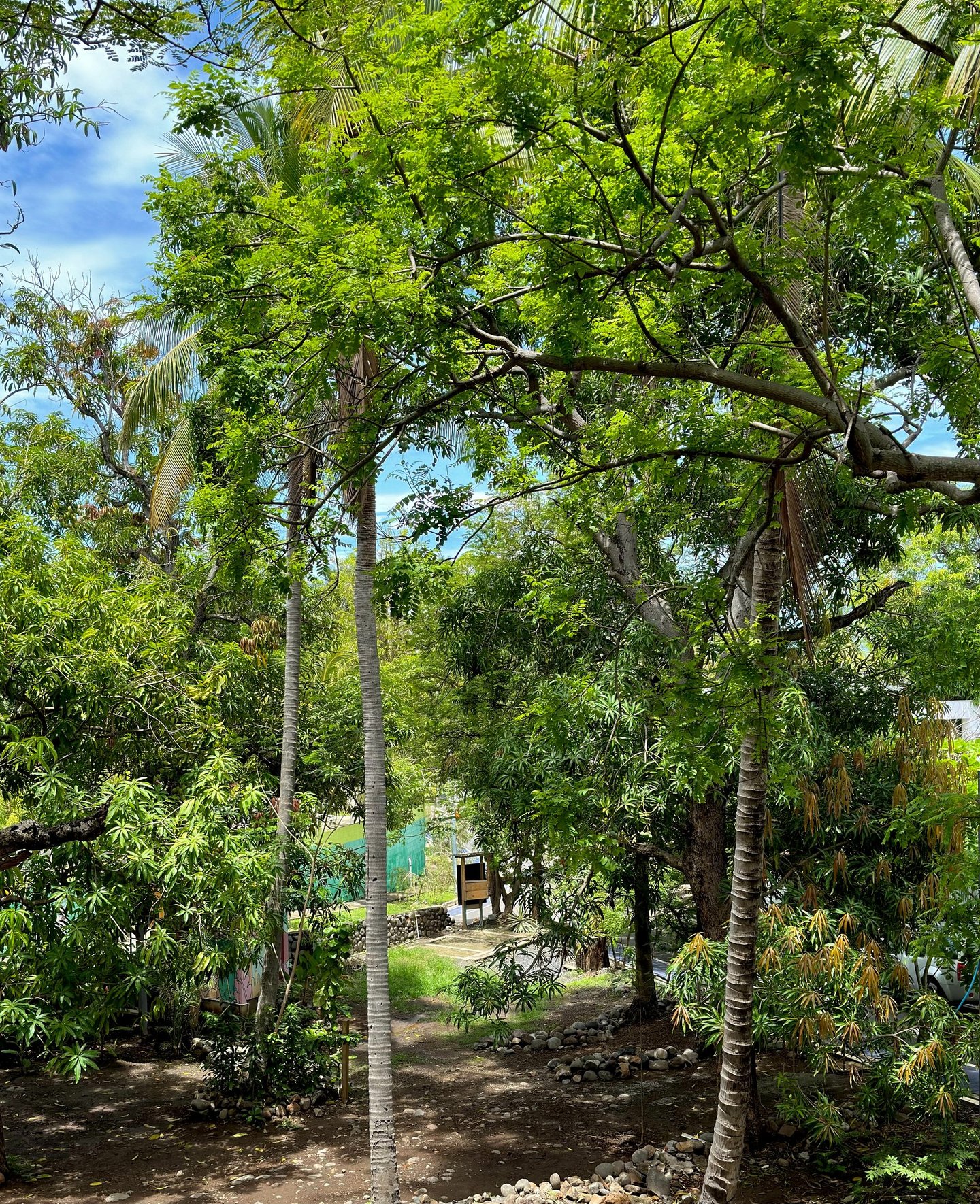 plaza mango verde event location