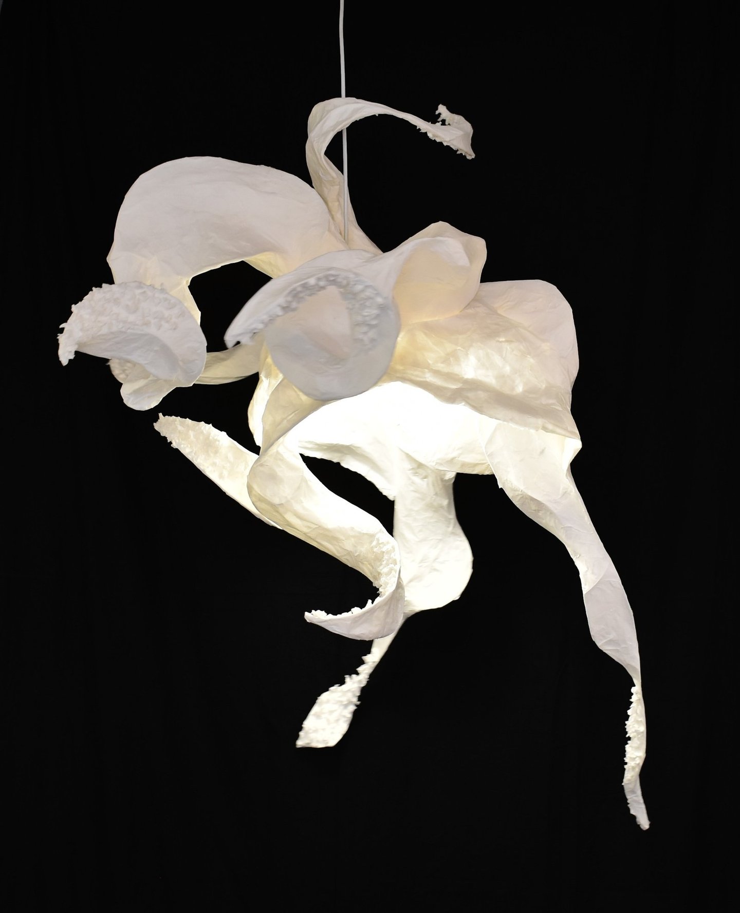 paper octopus Sète sculpture pendant light