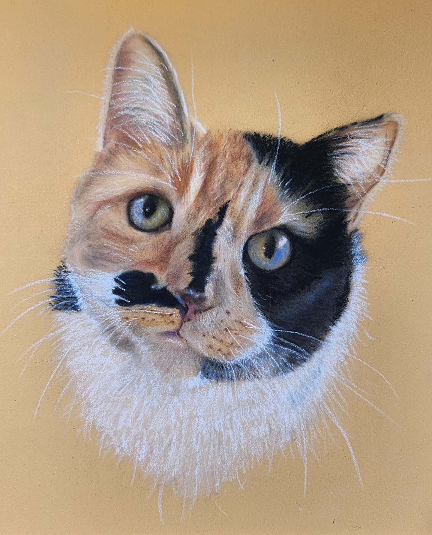 a cat with a mustache on it's face