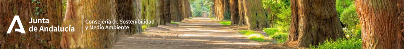 Cabecera tramitador cupos